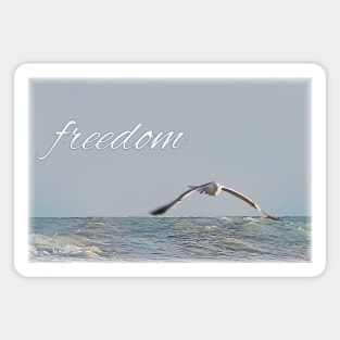 Freedom. Seagull flies over the sea Sticker